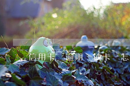 信用卡 逾期 锁卡 怎么开 信用卡 逾期 锁卡 怎么开